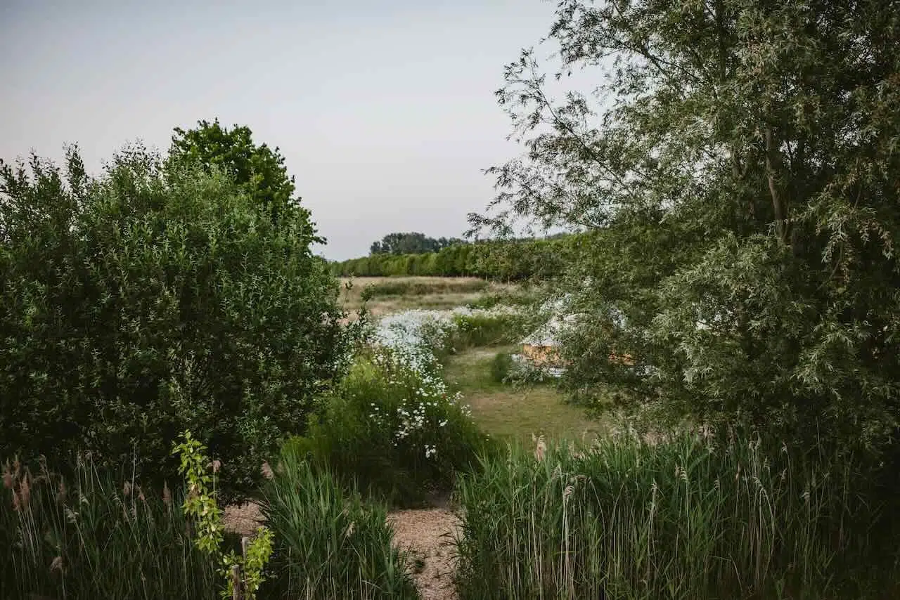 Overnachten in de natuur